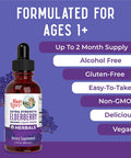 MaryRuth Organics Herbal Supplement Drop | for Immune Support | Pack of 1 | Elderberry | Syrup | Extra Strength | Black Liquid | USDA | Vegan | Non-GMO | Gluten Free | 60 Servings