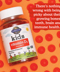 Garden of Life Kids Organic Vitamin D3 Gummies With 800 Iu (100% Daily Value) For Strong Bones Teeth Brain & Immunity Non-Gmo No Gluten Vegetarian Sugar Free Orange Flavor 60 Servings