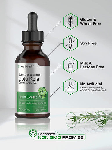 Gotu Kola Extract | 2 fl oz | Alcohol Free | Super Concentrated Liquid Herb Supplement | Vegetarian, Non-GMO, Gluten Free | by Horbaach