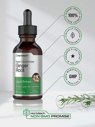 Ginger Root Extract | 2 oz | Alcohol Free Supplement | Super Concentrated | Vegetarian, Non-GMO, Gluten Free Liquid | by Horbaach