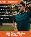 NatureWise Ashwagandha for Endurance Adaptogen Adrenal Support Supplement with KSM66 Vitamins Ginseng Green Tea Extract Packaging May Vary Light Brown 60 Count