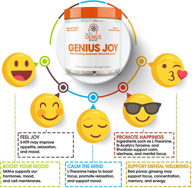 Genius Joy Nootropic Supplement w/Same Panax Ginseng LTheanine 100 Veggie Pills