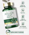 Carlyle Mullein Leaf Extract 1500mg | 200 Capsules | Verbascum Thapsus | Non-GMO Gluten Supplement