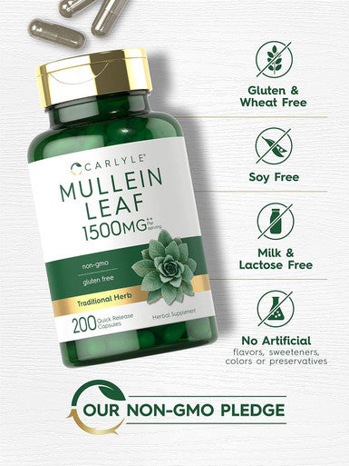 Carlyle Mullein Leaf Extract 1500mg | 200 Capsules | Verbascum Thapsus | Non-GMO Gluten Supplement