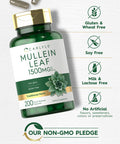 Carlyle Mullein Leaf Capsules 1500Mg | 200 Count | Verbascum Thapsus | Non-Gmo, Gluten Free Supplement