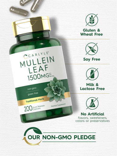 Carlyle Mullein Leaf Capsules 1500Mg | 200 Count | Verbascum Thapsus | Non-Gmo, Gluten Free Supplement