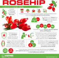 Rosehip Tablets | 2000mg Supplement for Immune System Support, Antioxidant & Digestive Health | Oxford Vitality