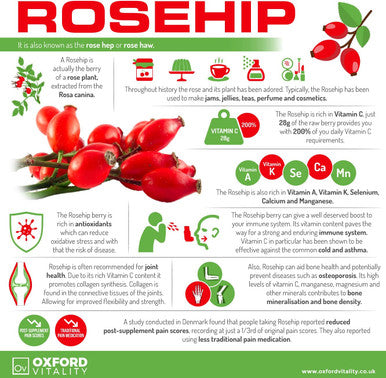 Rosehip Tablets | 2000mg Supplement for Immune System Support, Antioxidant & Digestive Health | Oxford Vitality
