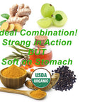 USDA Organic Turmeric Curcumin for Sensitive Stomach 45Day Supply Organic Turmeric Supplement with Black Pepper Sea Buckthorn Oil Ginger and Amla