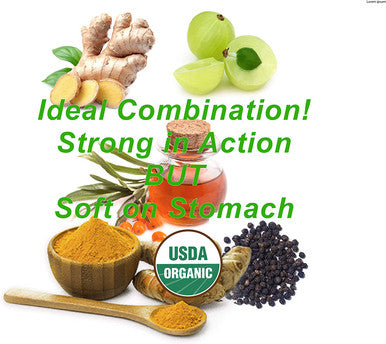 USDA Organic Turmeric Curcumin for Sensitive Stomach 45Day Supply Organic Turmeric Supplement with Black Pepper Sea Buckthorn Oil Ginger and Amla