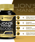 Lions Mane Supplement Capsules - 120 Count - Mushroom Supplement, Brain Supplements For Memory And Focus, Lion'S Mane Mushroom Capsules - Cognitive And Immune Support, Focus Supplement - Pack Of 2