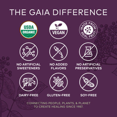Gaia Herbs Black Elderberry (Sambucus Nigra) Extra Strength Gummies - Delicious Immune Support Supplement - Made with Certified Organic Black Elderberries for Immune System Support - 80 Gummies