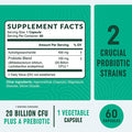 Probiotic and Prebiotic Capsules Synbiotic Gut Health Bloating Relief for Women Men Enzymes with Probiotics for Digestive Health 60 NonGMO Vegetarian Capsules