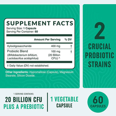 Probiotic and Prebiotic Capsules Synbiotic Gut Health Bloating Relief for Women Men Enzymes with Probiotics for Digestive Health 60 NonGMO Vegetarian Capsules