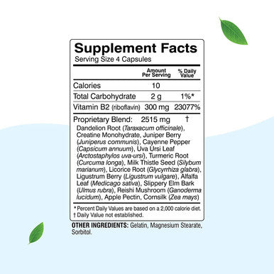 Herbal Clean Qcaps Detox Cleanse SameDay Discreet Detox Capsules 4 Count
