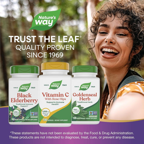 NatureS Way Vitamin C500 With Rose Hips 1000 Mg Per Serving 100 Capsules