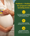 MegaFood Baby & Me 2 Prenatal Probiotic - Vegetarian Pregnancy Prebiotics And Probiotics For Women Digestive Health & Immune Support With Vitamin B6 For Morning Sickness Relief - 30 Capsules