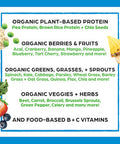 Orgain Organic Plant Based Protein Powder Peanut Butter Vegan Low Net Carbs 2.03 Pound Organic Plant Based Protein Superfoods Powder Vanilla Bean Vegan Non Dairy Lactose 2.02 lb