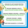 Orgain Organic Plant Based Protein Powder Peanut Butter Vegan Low Net Carbs 2.03 Pound Organic Plant Based Protein Superfoods Powder Vanilla Bean Vegan Non Dairy Lactose 2.02 lb