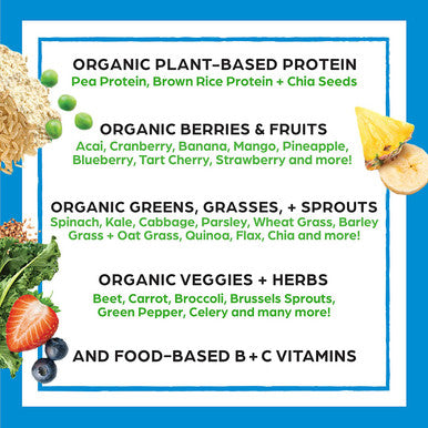 Orgain Organic Plant Based Protein Powder Peanut Butter Vegan Low Net Carbs 2.03 Pound Organic Plant Based Protein Superfoods Powder Vanilla Bean Vegan Non Dairy Lactose 2.02 lb