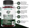 Irish Sea Moss Gummies - 3000Mg - Formulated W/ Irish Sea Moss, Bladderwrack & Burdock Root, Contain Essential Vitamin & Mineral - Antioxidant-Rich Superfood Supplement, 60 Sea Moss Gummies For Adults