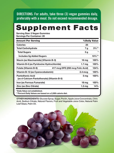 Nature's Truth Iron Gummies 60 Count Vegan NonGMO and Gluten Free Supplement with Zinc and B Vitamins Grape Flavor Vegan NonGMO and Gluten Free Supplement with Zinc and B Vitamins Grape Flavor