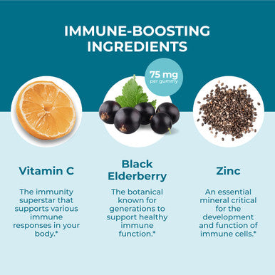 Hyland's s Kids Organic Elderberry Plus Gummies, Organic Black Elderberry with ZINC and Vitamin C, Immune Support for Children, 48 Vegan Gummies (2 Pack)