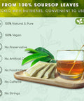 FreshDrinkUS, Premium 50 Mulberry Leaf Tea Bags, 100% Natural & Pure from Mulberry Leaves. Herbal Tea. Made with Natural Material Tea Bags. No Sugar, No Caffeine, No Gluten, Vegan.