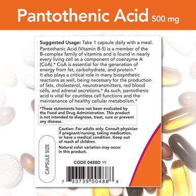 NOW Supplements, Pantothenic Acid 500 mg, 250 Capsules