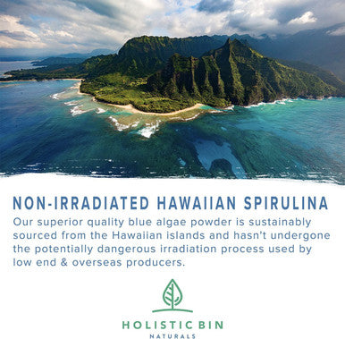 Blue Spirulina Powder by Holistic Bin | Organic Blue Green Algae Powder for Supplements, Smoothies, & Baked Goods | Rich Source of Vegan Protein, Vitamins, & Phytonutrients (50 Grams)