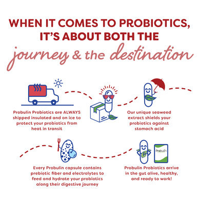 Probulin Colon Support Probiotic 30 Capsules