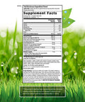 Irwin Naturals Double-Potency Ginkgo Biloba 240Mg Extra Strength Brain Health Supplement - Enhance Memory Mental Focus Alertness Concentration & Herbal Energy Booster - 60 Liquid Softgels