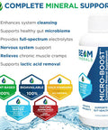 Beam Minerals Travel Pack Electrolyte & Micronutrient Support On-The-Go Micro-Boost 2 Oz, Electrolyze 2 Oz & Insta-Lytes 2 Oz