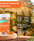 Kind Nature Vitamin B3 Niacin Gummies - Flush Niacinamide 500Mg Supplement - Vegan, Non-Gmo, Low-Calorie, Gluten-Free, Soy-Fee, 3Rd Party Lab Tested - 1 Month Supply, 90 Chewable Gummies