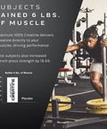 Creatine Monohydrate Powder | MuscleTech Platinum Creatine Powder | Pure Micronized Creatine Powder | Muscle Recovery + Muscle Builder for Men & Women | Workout Supplements | Unflavored (80 Servings)
