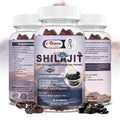 Alliwise Shilajit Gummies For Men & Women 600Mg Shilajit Pure Himalayan Original Multi-Supplement Shilajit Ashwagandha & High In Trace Minerals & Fulvic Acid For Energy Strength & Immunity