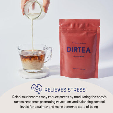 DIRTEA Reishi Mushroom Powder | 2000mg / Serving | Organic Vegan & Non GMO | Sleep Quality Stress & Immunity Support | High Strength Supplement | 60g - 30 Servings