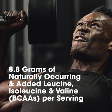 Optimum Nutrition Platinum Hydrowhey Protein Powder 100% Hydrolyzed Whey Protein Isolate Powder Flavor: Turbo Chocolate 40 Servings 3.61 Pounds (Packaging May Vary)