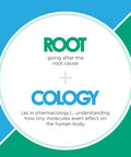 Rootcology Curcumin Absorb - Turmeric Curcumin Blend With 3 Bioactive Curcuminoids + Turmeric Oil - Dietary Supplement For Immune