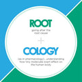 Rootcology Curcumin Absorb - Turmeric Curcumin Blend With 3 Bioactive Curcuminoids + Turmeric Oil - Dietary Supplement For Immune