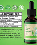 Liquid Chlorophyll Drops for Water 120 Serving, All-Natural Concentrate, Mint Flavored 60mg