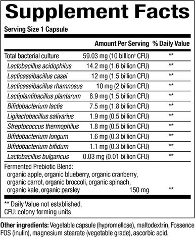 Whole Earth Sea from Natural Factors Whole Food Synbiotic Pre Probiotic Fermented Digestive Enzymes 60 Vegetarian Capsules