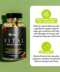 Karamd Vital Restore - Supplement For Leaky Gut, Colon Health, & Immune Support - With Zinc, Turmeric, Berberine & L-Glutamine - Vegetable Capsules - 30 Servings (90 Capsules)