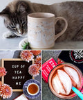 Gardenika Twinings Herbal Tea Sampler - Caffeine- Assortment - Individually Wrapped Flavored Bags - 48 Ct 24 Flavors
