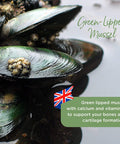 Healthspan Green Lipped Mussel | 120 Tablets | with Vitamin C | Responsibly Sourced | Rich Source of Amino Acids | Glycosaminoglycans | Calcium | Gelatin Free