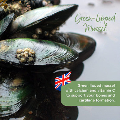 Healthspan Green Lipped Mussel | 120 Tablets | with Vitamin C | Responsibly Sourced | Rich Source of Amino Acids | Glycosaminoglycans | Calcium | Gelatin Free