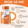 Aitnaturals Iron - 45mg (100 Tablets)| High potency Ferrous Sulphate for Red Blood Cell Production Active Brain Function Prevent Iron Deficiency| Enhance Muscle growth& Regulate Body Temperature