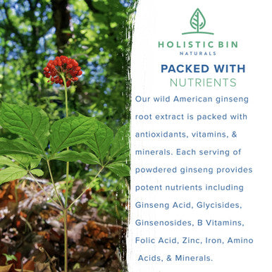 Holistic Bin Wild American Ginseng Powder Pure Organic Ginseng Supplement Made with Wild Harvested 20+ Year Old Roots from Appalachia (Panax Quinquefolius) | No Fillers or Additives (25 Grams)