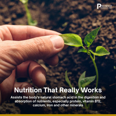 Premier Research Labs Medi-Mineral Serum - With Mineralized Red Algae & Green Tea - Supports Natural Skin Beauty - Perfect Nouris