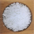 Celtic Sea Salt Gourmet her 16 Ounce